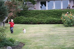 IMG_0519